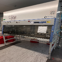 Thermo Scientific 1300 Series A2 BSC- 6ft image 1